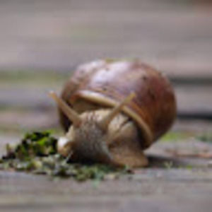 Meet your Posher, Cas